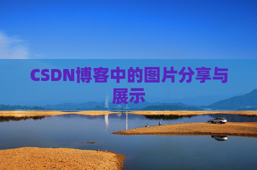 CSDN博客中的图片分享与展示